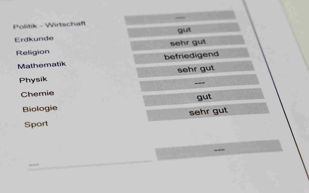 Sinn und Unsinn von Noten – Ein innovativer Blick auf Leistungs- bewertung